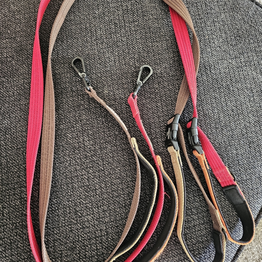 Two Leashes with Built-in Collar
